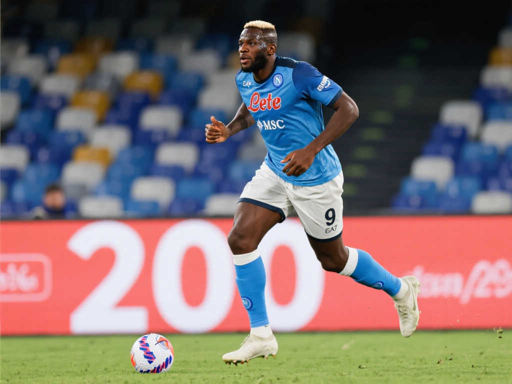 巴西铁卫 巴西铁卫